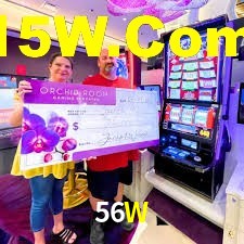 Sports Statistics 56W